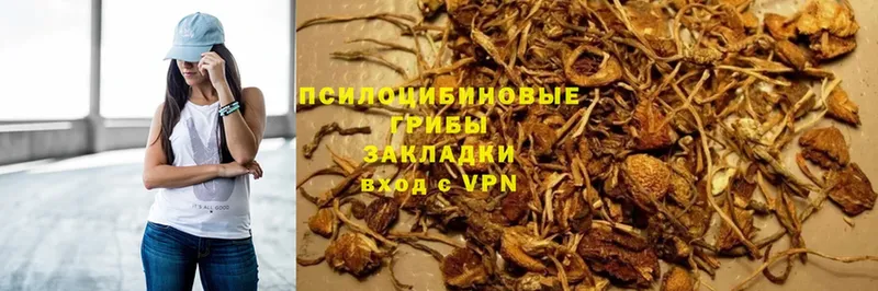 Галлюциногенные грибы MAGIC MUSHROOMS  магазин  наркотиков  Красноуфимск 